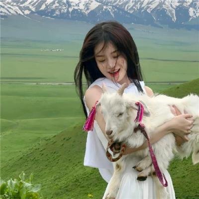 咪速成计划